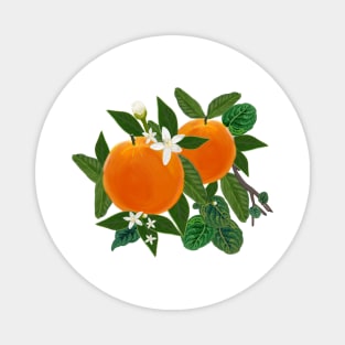 Oranges with flowers and leaves Magnet